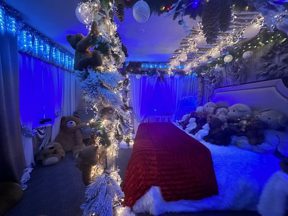 TEDDY BEAR SUITE Updated August 2024 30 Photos 411 University St