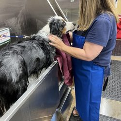 Lemos Feed & Pet Supply