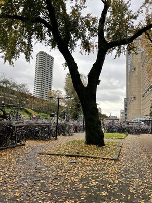 Amstel Station by null