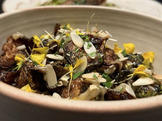 The Café at Alma San Diego by null