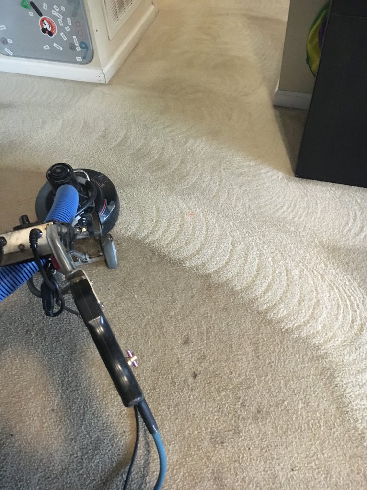 HALEY’S COMET CARPET CLEANING Updated August 2024 13 Photos 1325