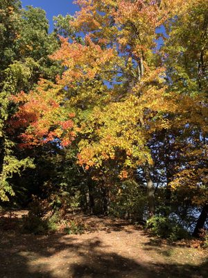UNION POND Updated April 2025 41 Photos No School St, Manchester