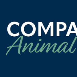 Companion Animal Clinic