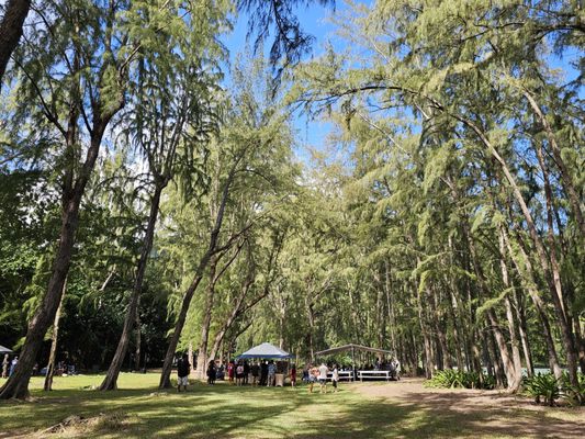 Kahana Bay Beach Park by null