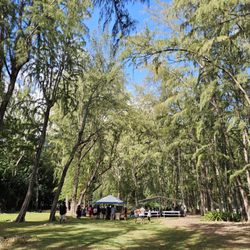 Kahana Bay Beach - The gathering is straight ahead... under the tents!
