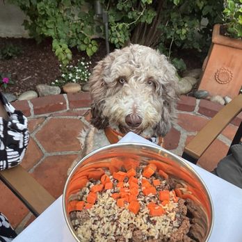 Terry's Restaurant + Lounge - Their ground beef dog menu. - Lounges Near Me - Carmel, California