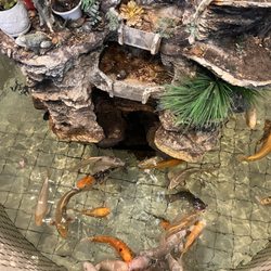 Golden China Buffet
