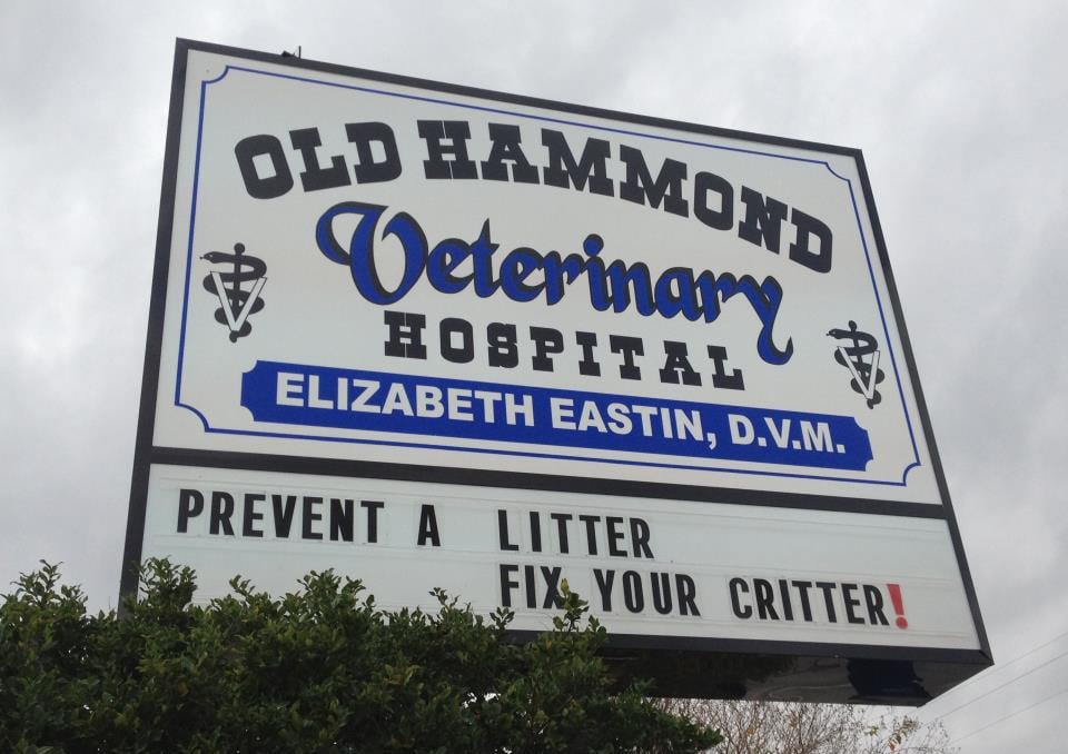 OLD HAMMOND VETERINARY HOSPITAL Updated October 2024 11 Reviews