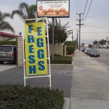California Egg Distributor - Klingerman St is behind you if you see this standing on the sidewalk - Wholesale Stores Near Me - El Monte, California