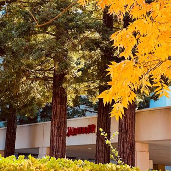 San Ramon Marriott - Hotels Near Me - San Ramon, California San Ramon Marriott - Hotels Near Me - San Ramon, California