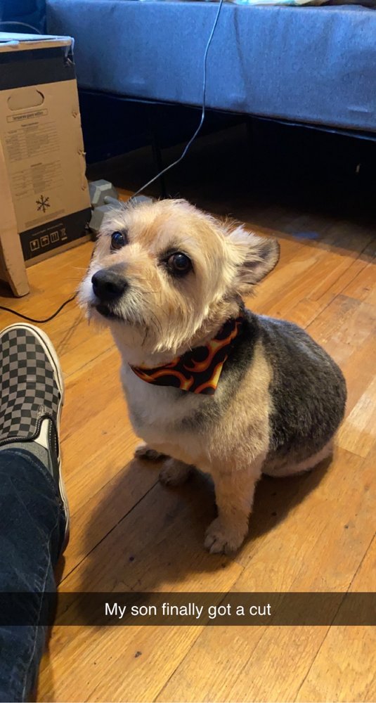 HEALTHY PET GROOMING & SUPPLY Updated May 2024 24 Photos 563