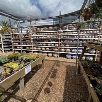 Planter Paradise - Nurseries & Gardening Near Me - El Cajon, California Planter Paradise - Nurseries & Gardening Near Me - El Cajon, California