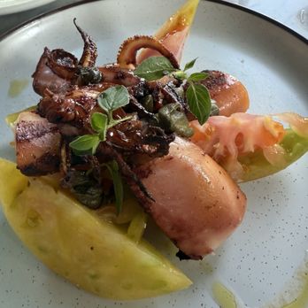 Terra - Italian Near Me - Santa Clara, California