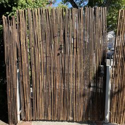 Bizarro Painting - Bamboo gate