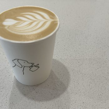 Bird Dog Coffee - The scout - amazing drink - Coffee & Tea Near Me - Laguna Hills, California