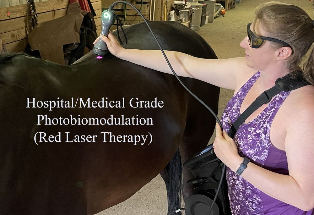 The Right Fit Equine - equestrian in Gresham, OR