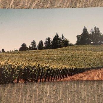 Relic Wine Cellars - a vineyard in the background - Wineries Near Me - Napa, California Relic Wine Cellars - a vineyard in the background - Wineries Near Me - Napa, California