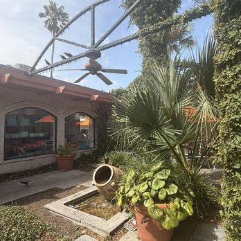 Hester's - Lamar Park - Coffee & Tea Near Me - Corpus Christi, Texas Hester's - Lamar Park - Coffee & Tea Near Me - Corpus Christi, Texas