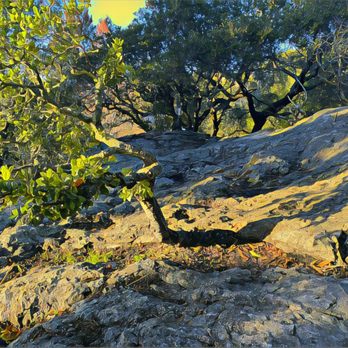 Mortar Rock Park - Mortar Rock Park - Parks Near Me - Berkeley, California