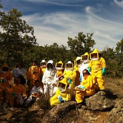La Senda de la Abeja
