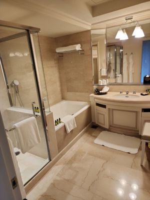 Hotel Chinzanso Tokyo by null