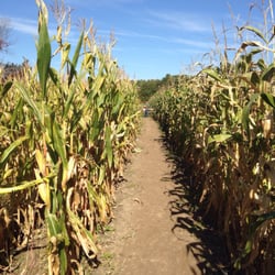 Pumpkin Valley Farm