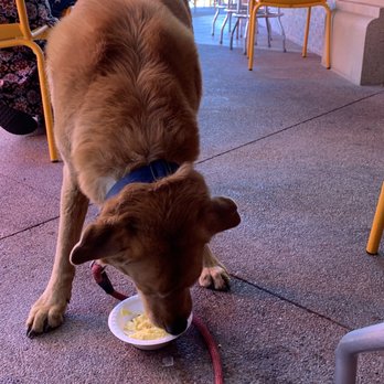 Morning Squeeze - Breakfast & Brunch Near Me - Tempe, Arizona Morning Squeeze - Breakfast & Brunch Near Me - Tempe, Arizona