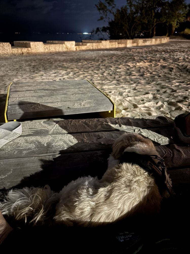 The Bay Park Conservancy Logo