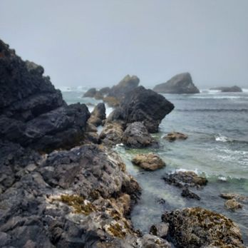 Seal Rocks RV Cove - RV Parks Near Me - Seal Rock, Oregon Seal Rocks RV Cove - RV Parks Near Me - Seal Rock, Oregon