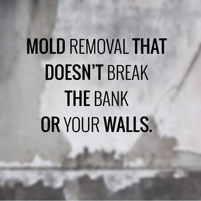 Pure Maintenance Golden State - mold inspector in Folsom, CA