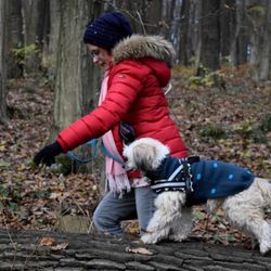 Animal Train - Balanceübung im Wald