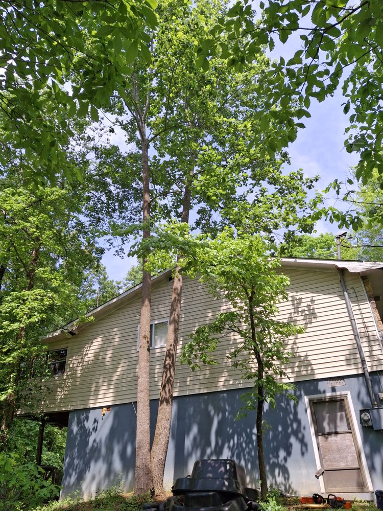 4Aces Outdoor Services - veterans service organization in Seymour, TN