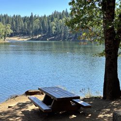 Forebay Park - Picnic benches