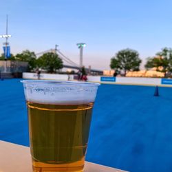 Blue Cross River Rink Summer Fest