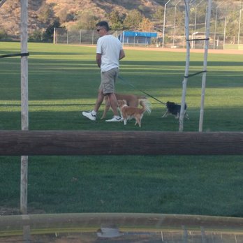 Tamarisk Park - Off leash dogs - Parks Near Me - Lake Forest, California