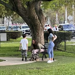 Joseph Scavo Park - Dog park