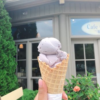 Wilmot Orchards - Farms Near Me - Newcastle, Ontario