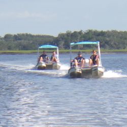 Backwater Cat Adventure