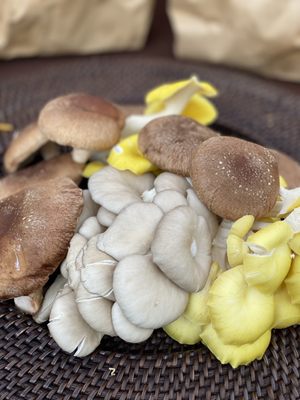 Dane County Farmers' Market by null