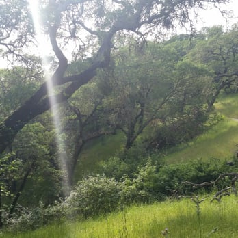 Foothill Regional Park - Westside trail. - Hiking Near Me - Windsor, California