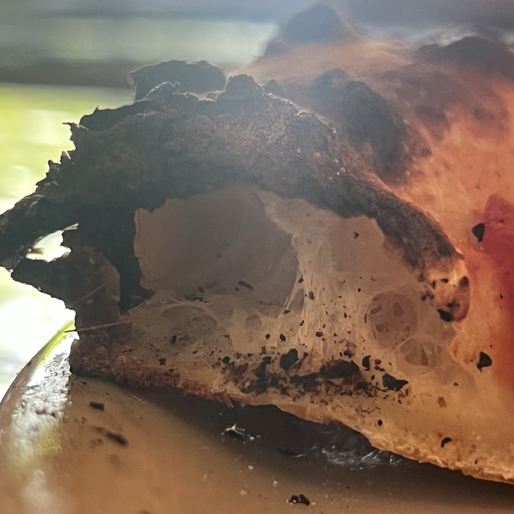 Pizza To The Rescue - crumb - Pizza Near Me - Phoenix, Arizona