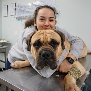 ROCKAWAY ANIMAL HOSPITAL - Updated June 2025 - 21 Photos & 83 Reviews