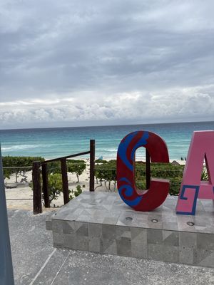 Dolphins Beach by null