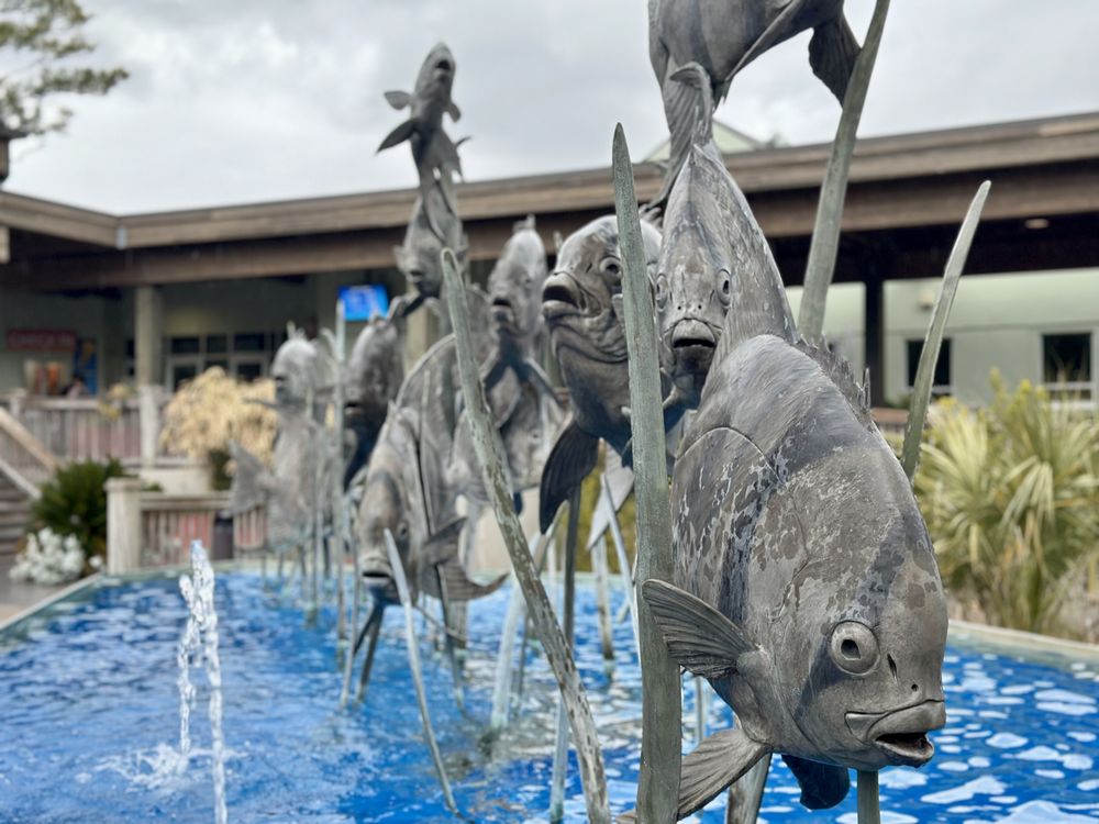 North Carolina Aquarium at Pine Knoll Shores