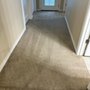 Photo of New dawn floor and upholstery cleaning services