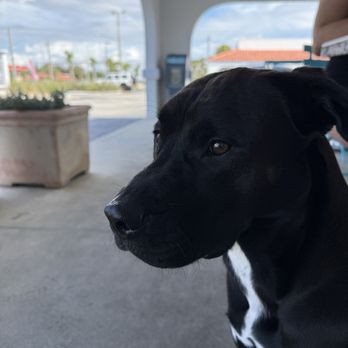 Connolly's Shore Grill - rumble :) - Cheesesteaks Near Me - St. Augustine, Florida