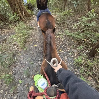 Bar-B-Ranch - we did the 1.5 hr trail ride with our guide Cat and had an amazing experience - Horseback Riding Near Me - Davie, Florida Bar-B-Ranch - we did the 1.5 hr trail ride with our guide Cat and had an amazing experience - Horseback Riding Near Me - Davie, Florida
