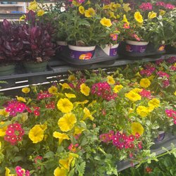 Cimato Garden Center