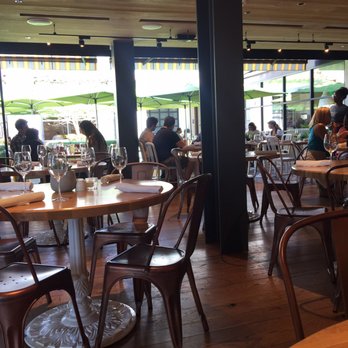 True Food Kitchen - Nice space very open - Vegetarian Near Me - Pasadena, California True Food Kitchen - Nice space very open - Vegetarian Near Me - Pasadena, California