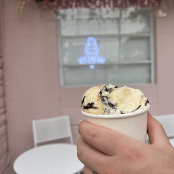 Canal Creamery - Moose Tracks in a cup - Ice Cream & Frozen Yogurt Near Me - Indianapolis, Indiana